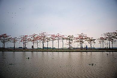 Waaagh！《战锤40K:Shootas, Blood & TEEF》发售